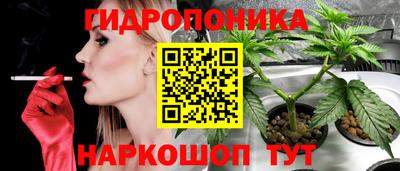 прущие грибы Азнакаево