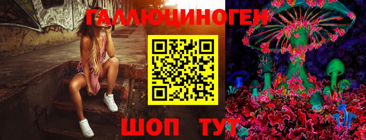 Псилоцибиновые грибы прущие грибы Россия