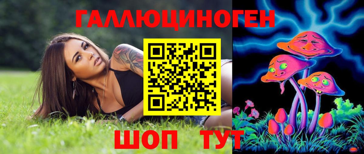 Россия  Галлюциногенные грибы прущие грибы  Вход с VPN 